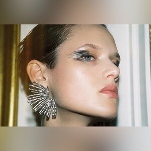 Zara🔥🔥🔥 Elegant Silver Statement Earrings NWT